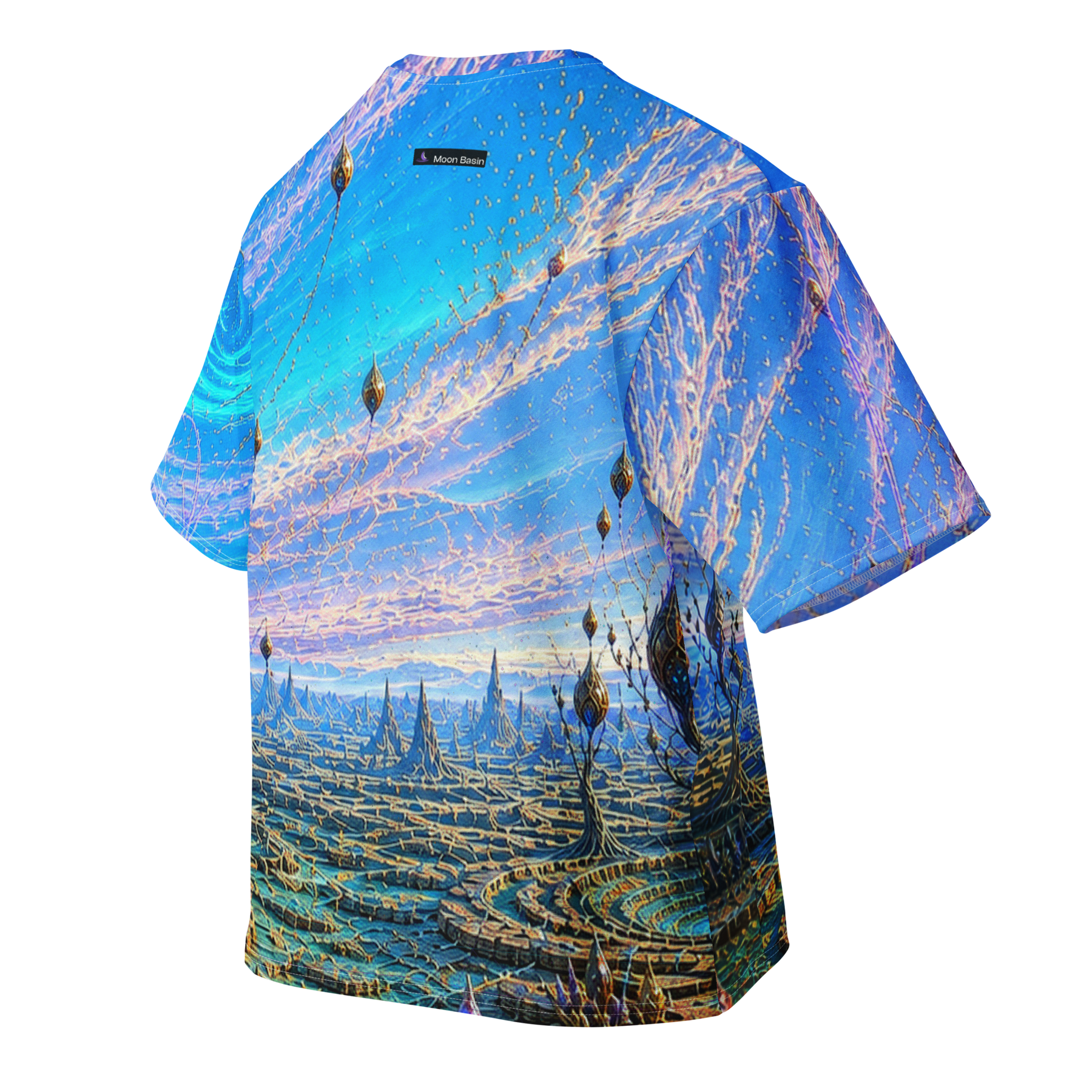 Gravity Orchard Basin all over print oversized tee, back view, Moon Basin mark at the nape